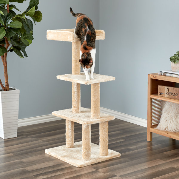 Tucker Murphy Pet™ 44" Willesden Sycamore Cat Tree Wayfair